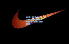 体彩网_法甲焦点对决，巴黎圣日耳曼迎战里尔，救赎之路与连胜征程的深度碰撞